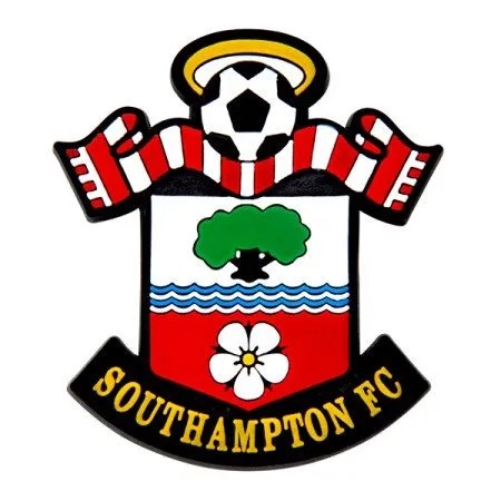 Southampton football team private party